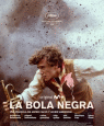 la bola negra